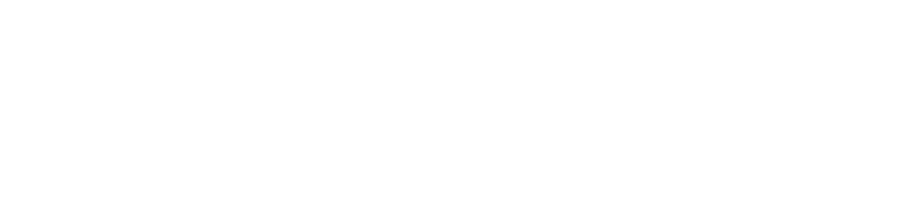 Diane Abyssinian | 月羌动物园